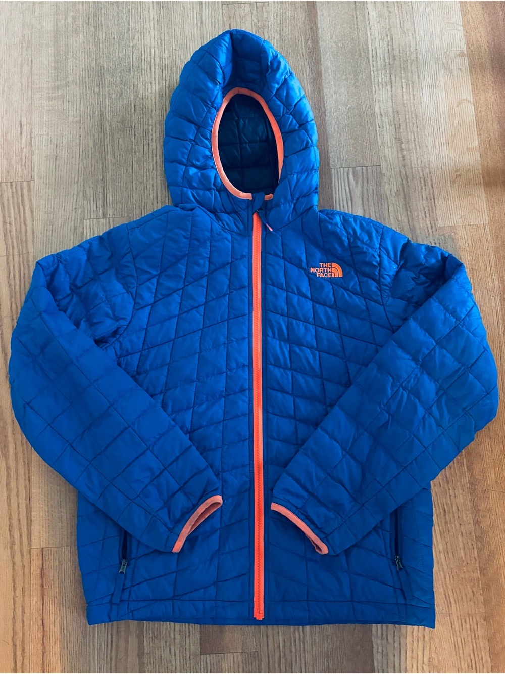 The North Face Kids Blue Hooded Winter Puffer Jacket